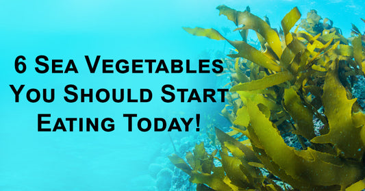 6 Sea Vegetables You Should Start Eating Today!