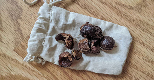 soapnuts FI