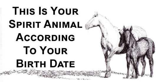 spirit animal birth date FI
