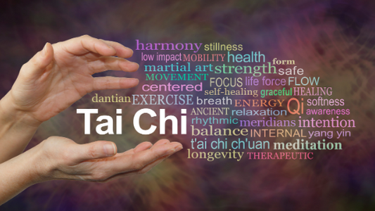 should you tai chi FI