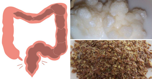 toxins colon FI