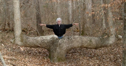 trail marker trees FI