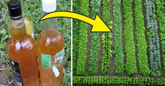 urine fertilizer FI