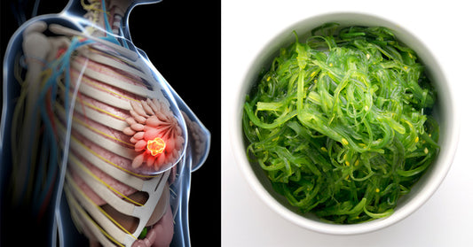 Wakame: 10 Benefits & Uses