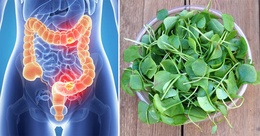 6 Benefits Of Watercress