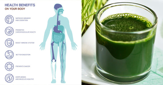 wheatgrass benefits FI