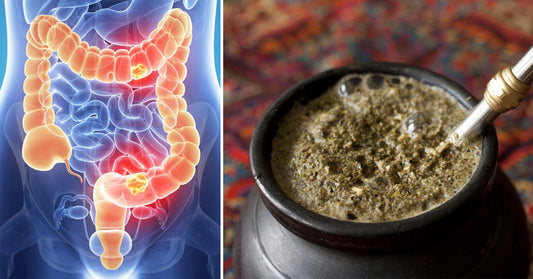 Yerba Mate: 5 Benefits & Uses