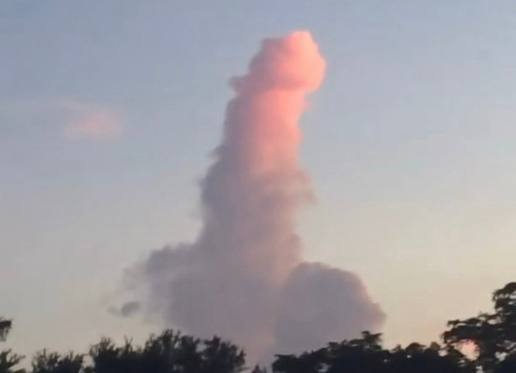 Male Fertility Supplements