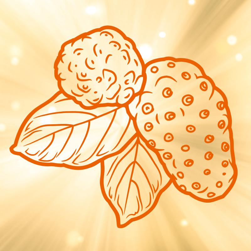 David Wolfe's Farm Products