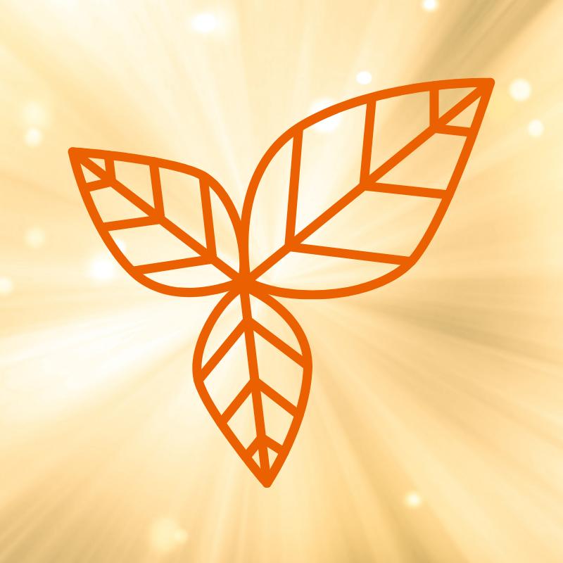 SuperHerbs & SuperMushrooms