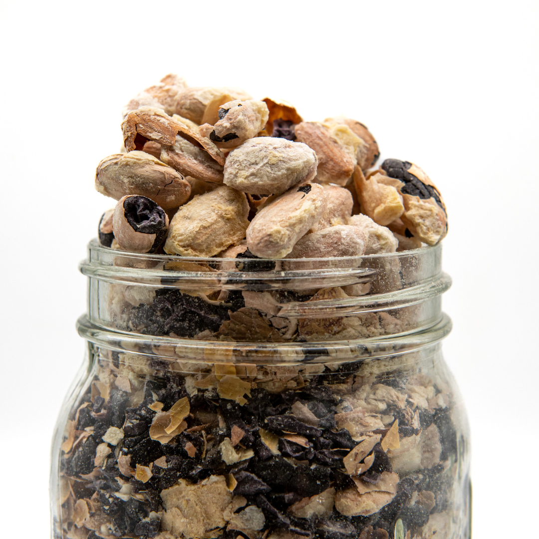 NoniLand Freeze-Dried Cacao Beans with Pulp