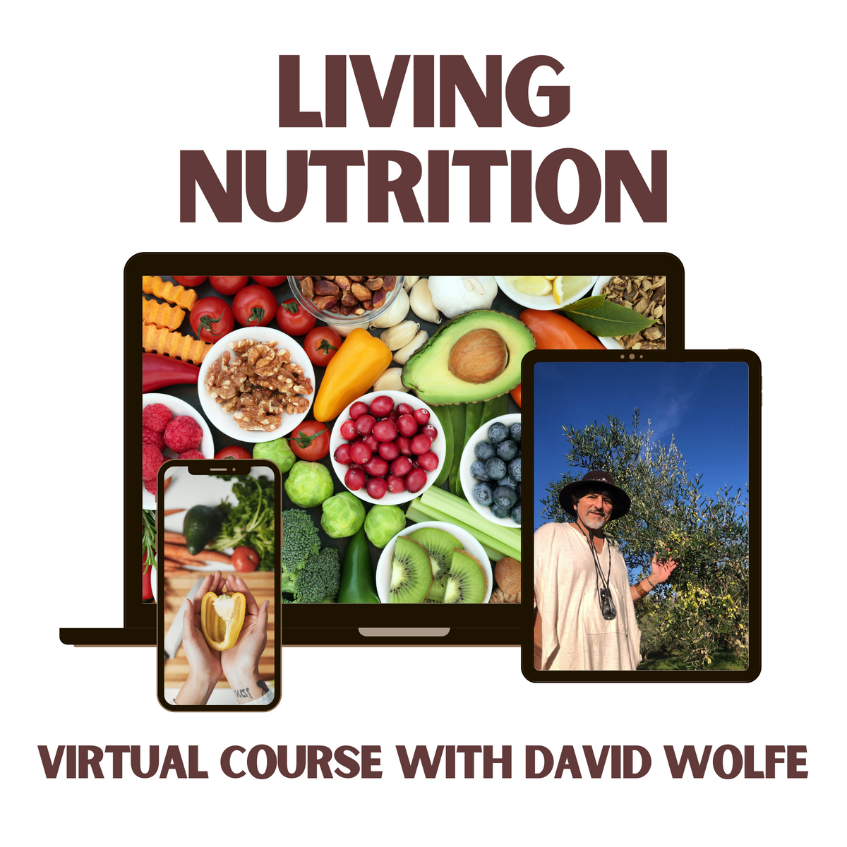 David Avocado Wolfe Living Nutrition E-Course