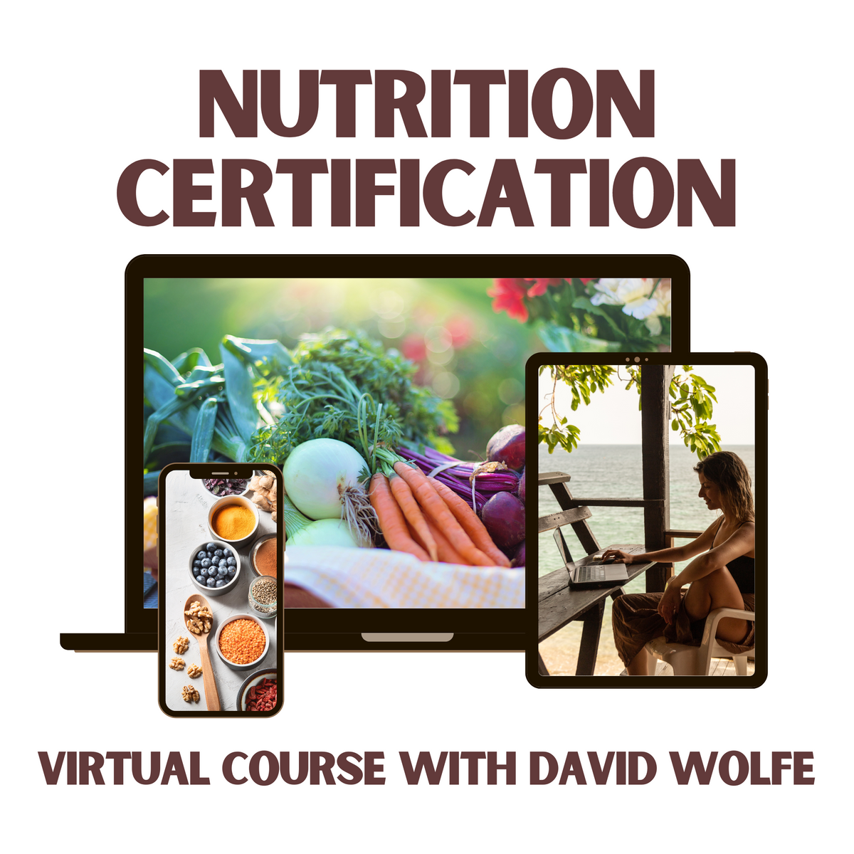 David Wolfe Nutrition Certification