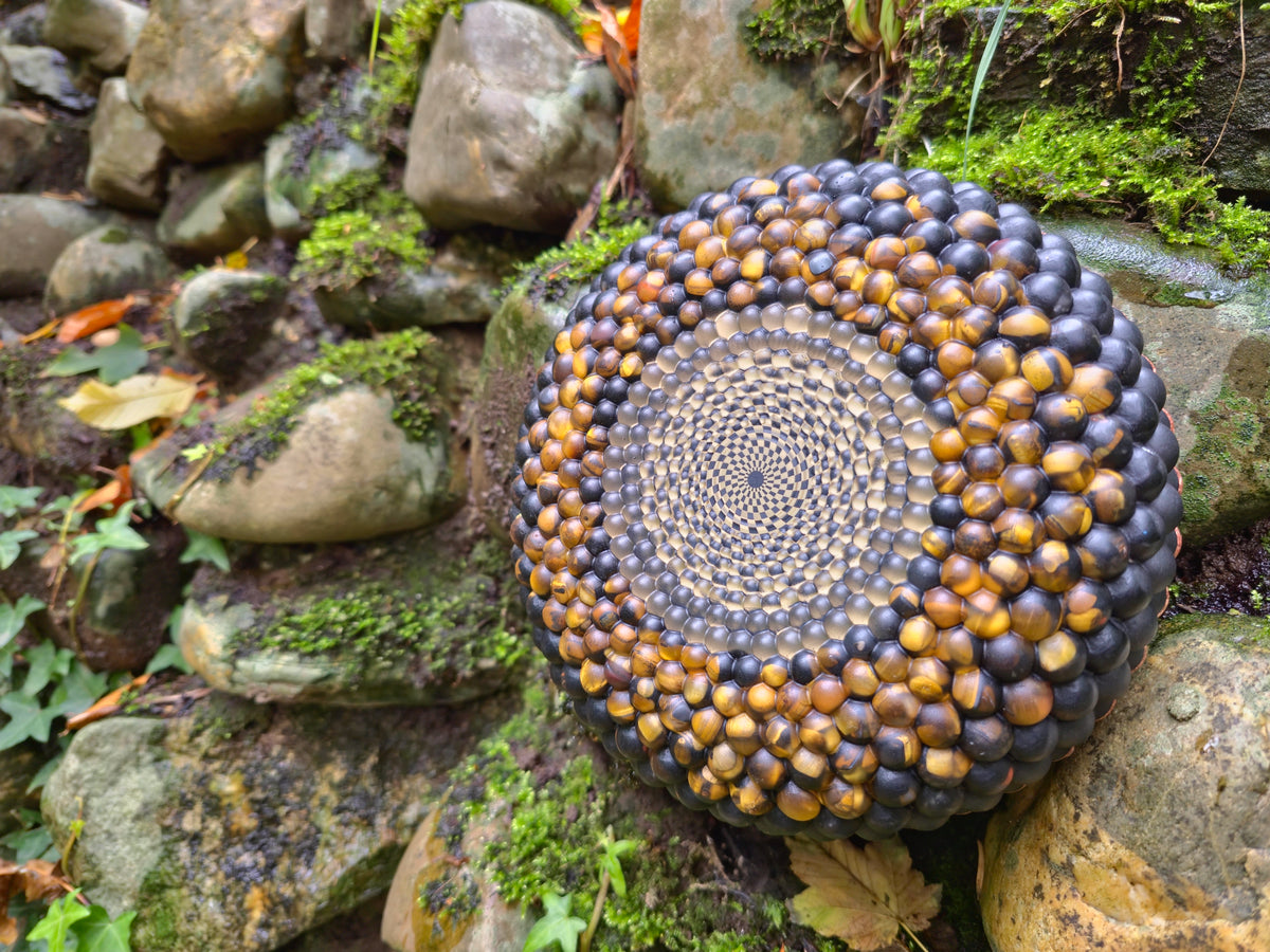 Shungite UFO Orgonite