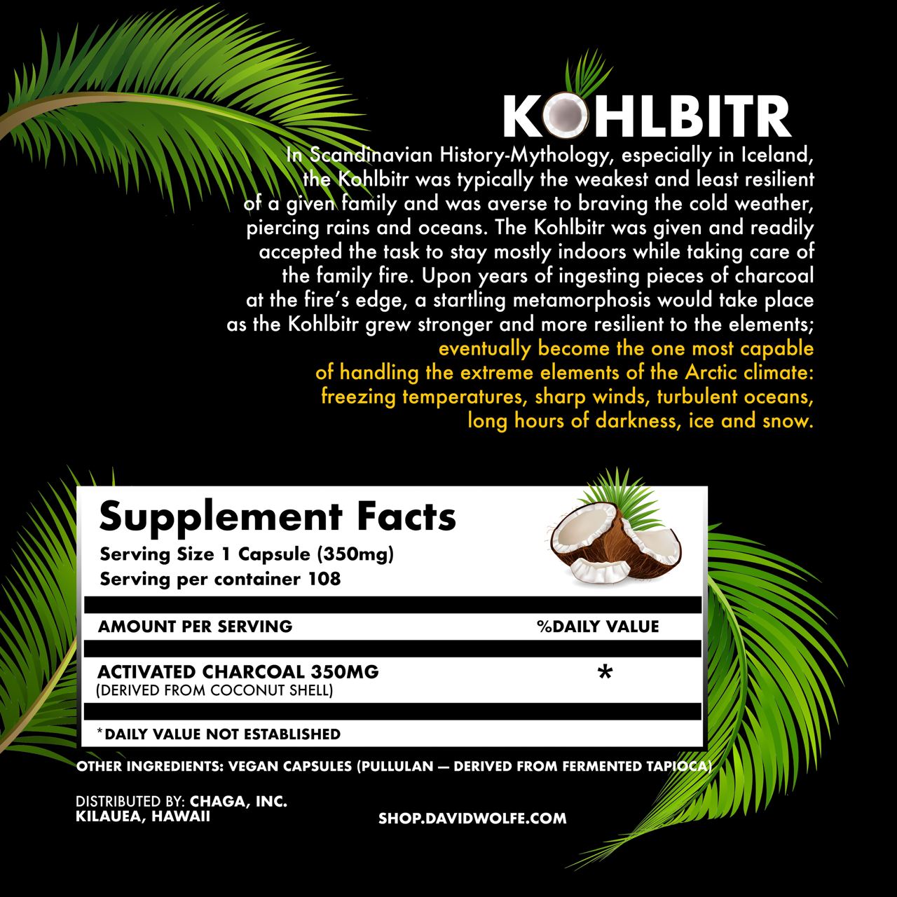 Activated Charcoal – Kohlbitr (108 Capsules)