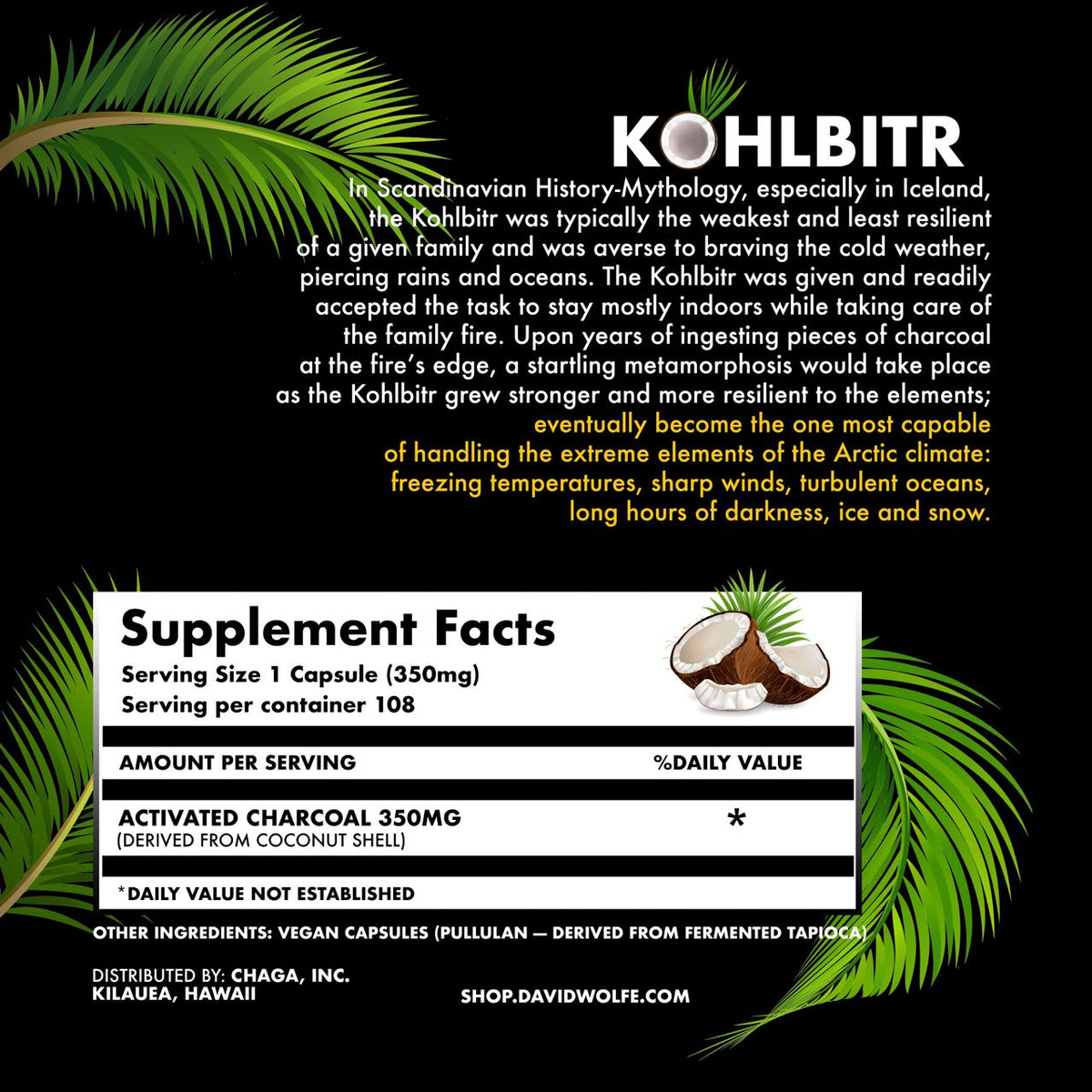 Activated Charcoal – Kohlbitr (108 Capsules)