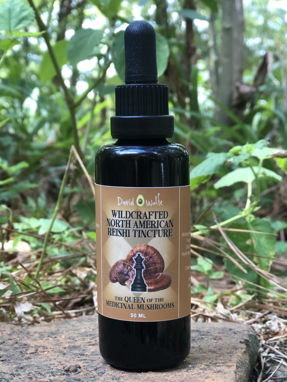 Wildcrafted North American Reishi Tincture (50 mL)