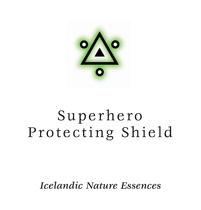 Superhero Protection Shield