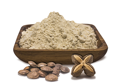 Sacha Inchi Protein Powder: Organic and Vegan-Friendly from Peru ...